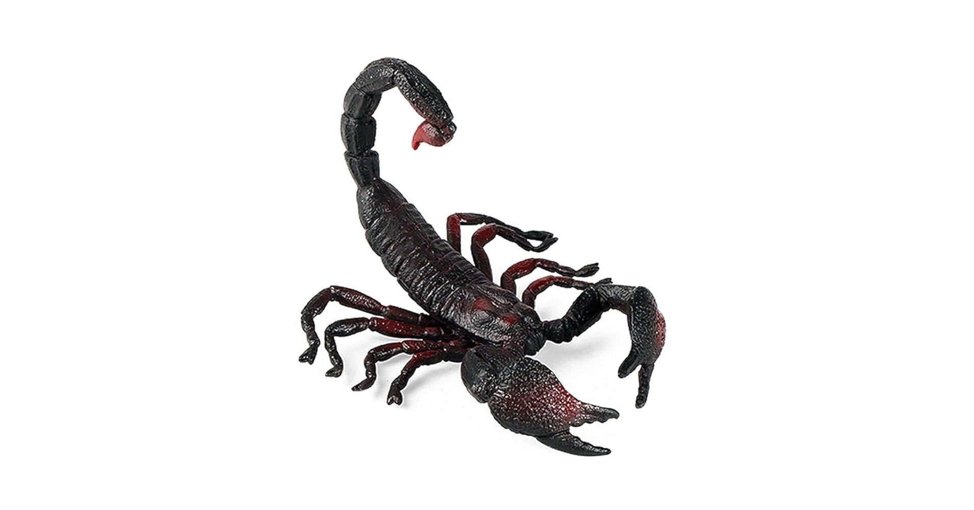 61Cv49eMA+L.jpg_BO30,255,255, 61Cv49eMA+L.jpg_BO30,255,255,